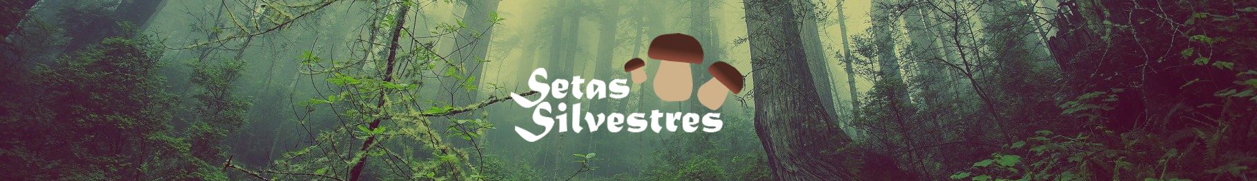 Setas Silvestres
