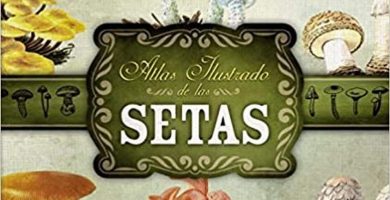 Atlas Ilustrado de las Setas