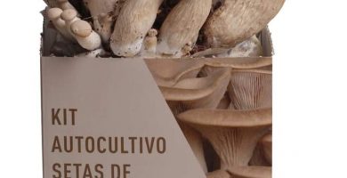 Kit Autocultivo Cardo Blanco Meli