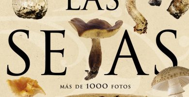 Enciclopedia de Setas