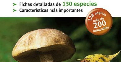 Gu&iacute;a de setas de bolsillo