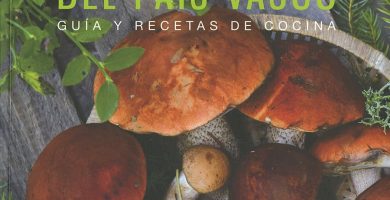 Setas del Pa&iacute;s Vasco